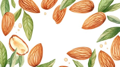 杏仁绿叶的装饰边框