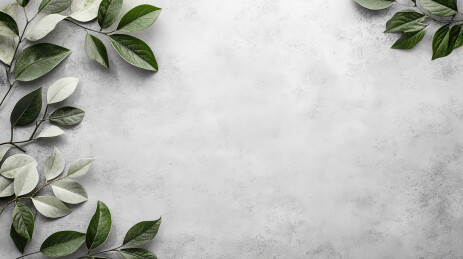 白色背景下白色开花植物的特写镜头