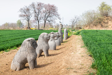 河南巩义北宋皇陵麦田中的石像生