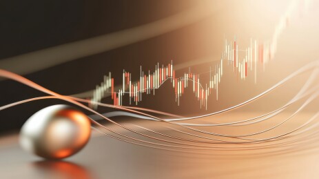 金融市场的波动与投资