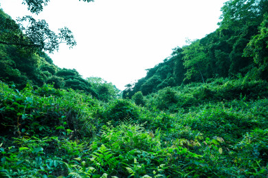 福州福清大化山