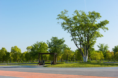 公园里的树木和凉亭