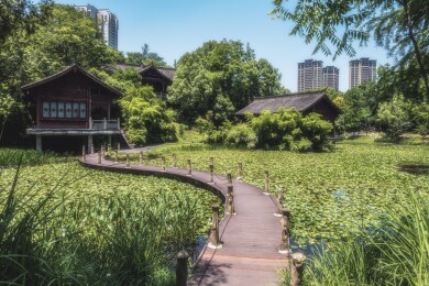 观音塘湿地公园