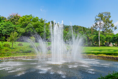 广州市越秀区麓湖公园聚芳园白云芳草