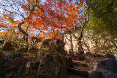 苏州留园秋景