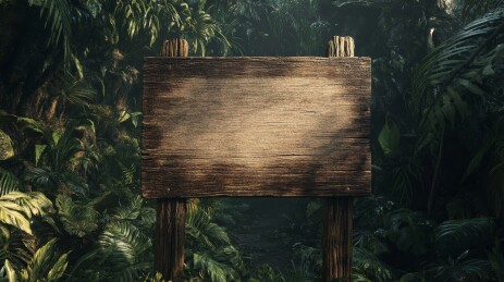 热带雨林中的木质路标