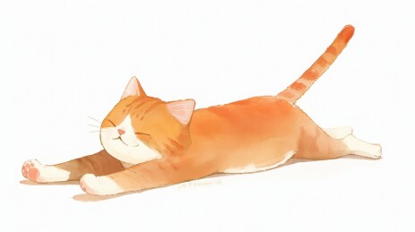 猫咪慵懒躺地