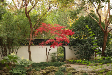 上海秋霞圃深秋红枫点缀中式园林