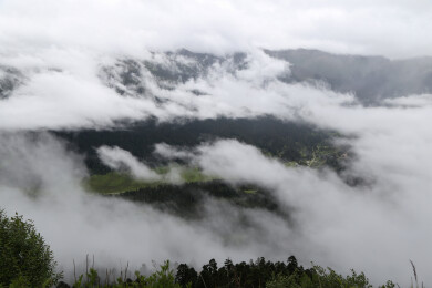 中国西藏林芝色季拉山口鲁朗林海云雾缭绕