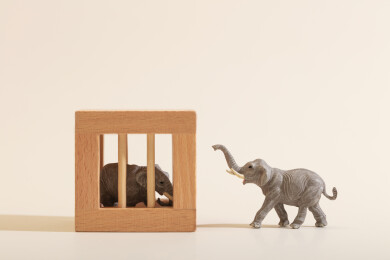 微缩创意关在笼子里的大象