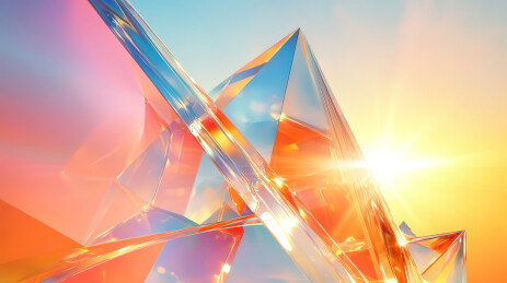 日落时植物对天的低角度视图