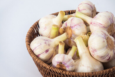 白色背景上藤篮里装满新鲜采摘的大蒜生蒜