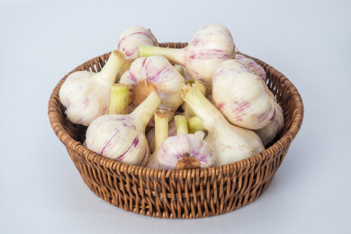白色背景上藤篮里装满新鲜采摘的大蒜生蒜