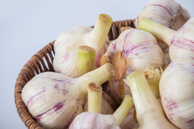 白色背景上藤篮里装满新鲜采摘的大蒜生蒜