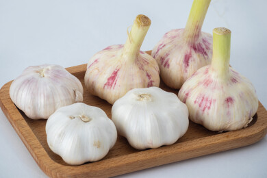 白色背景上木盘里装着新鲜采摘的生蒜和晾晒