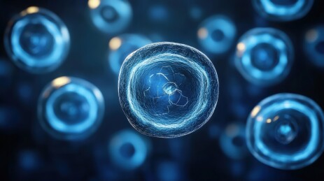 细胞结构的详细视图