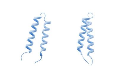 生物医学蛋白质结构三维渲染