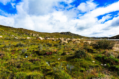 中国四川省甘孜州稻城县海子山风景区