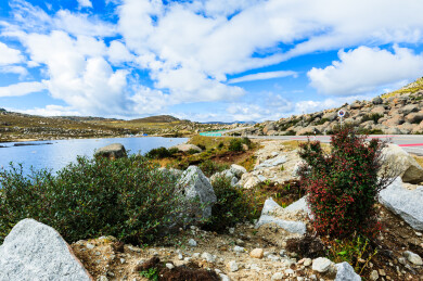 中国四川省甘孜州稻城县海子山风景区