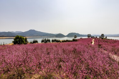 中国广西富川龟石水库风景如画