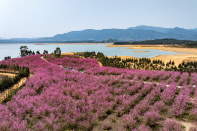 中国广西富川龟石水库风景如画