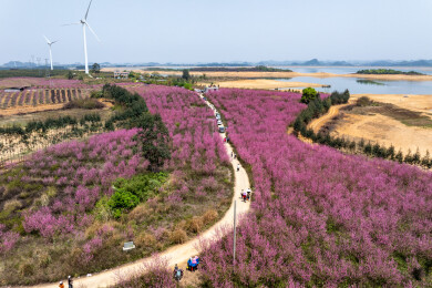 中国广西富川龟石水库风景如画