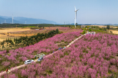 中国广西富川龟石水库风景如画