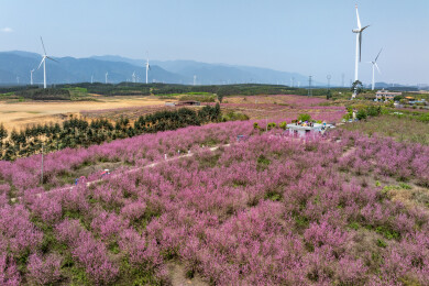 中国广西富川龟石水库风景如画