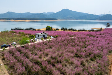 中国广西富川龟石水库风景如画