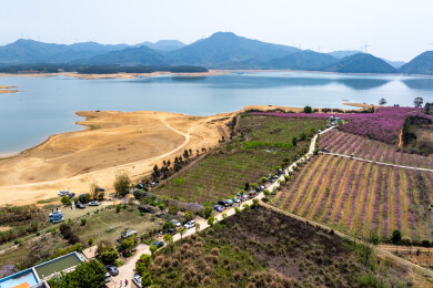 中国广西富川龟石水库风景如画