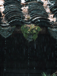 苏州留园雨天氛围