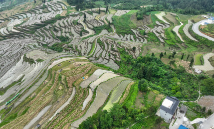 夏日梯田绘就诗意农耕图