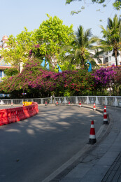道路施工场景与周边绿植建筑
