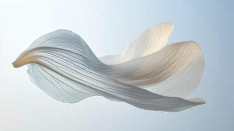 空中漂浮的花瓣