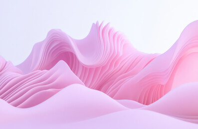 粉红色玫瑰花的全画幅拍摄