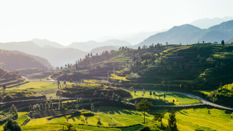 中国浙江温州茗岙梯田风景