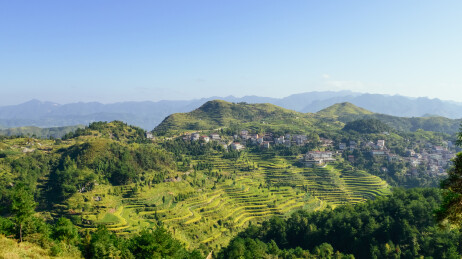 中国浙江温州茗岙梯田风景