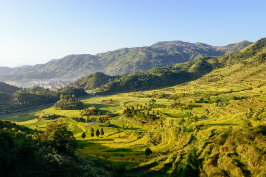 中国浙江温州茗岙梯田风景
