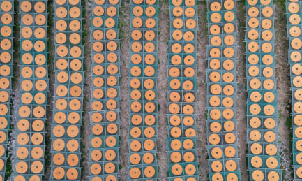 航拍晒塔香工艺