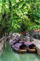 苏州市同里古镇风景区