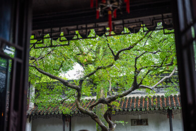 苏州市同里古镇风景区