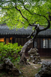 苏州市同里古镇风景区