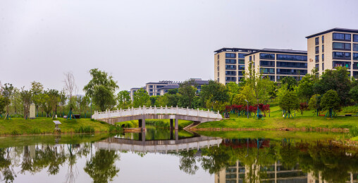 城市湿地景观