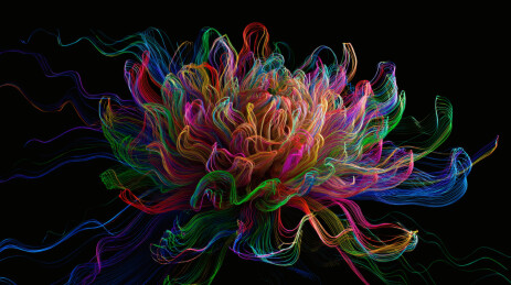 彩虹线描花朵暗夜绽放