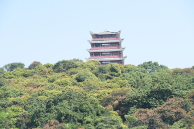 广东东莞大王山森林公园