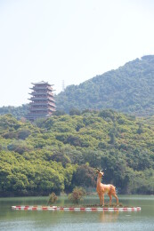 广东东莞大王山森林公园