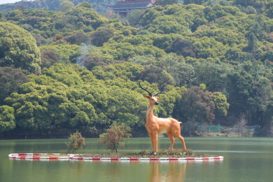 广东东莞大王山森林公园