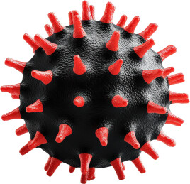 新冠病毒三维模型