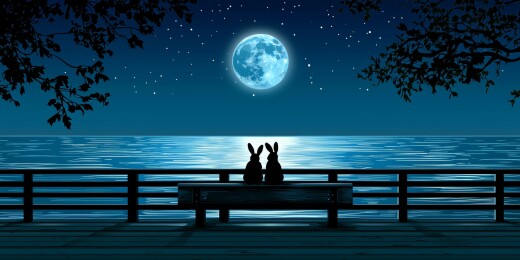 兔影月夜桥畔观景场景