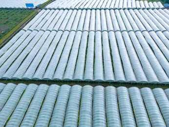 大规模农业温室鸟瞰图